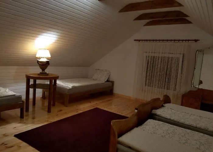 Przystanek Bajka W Puszczy Zielonce